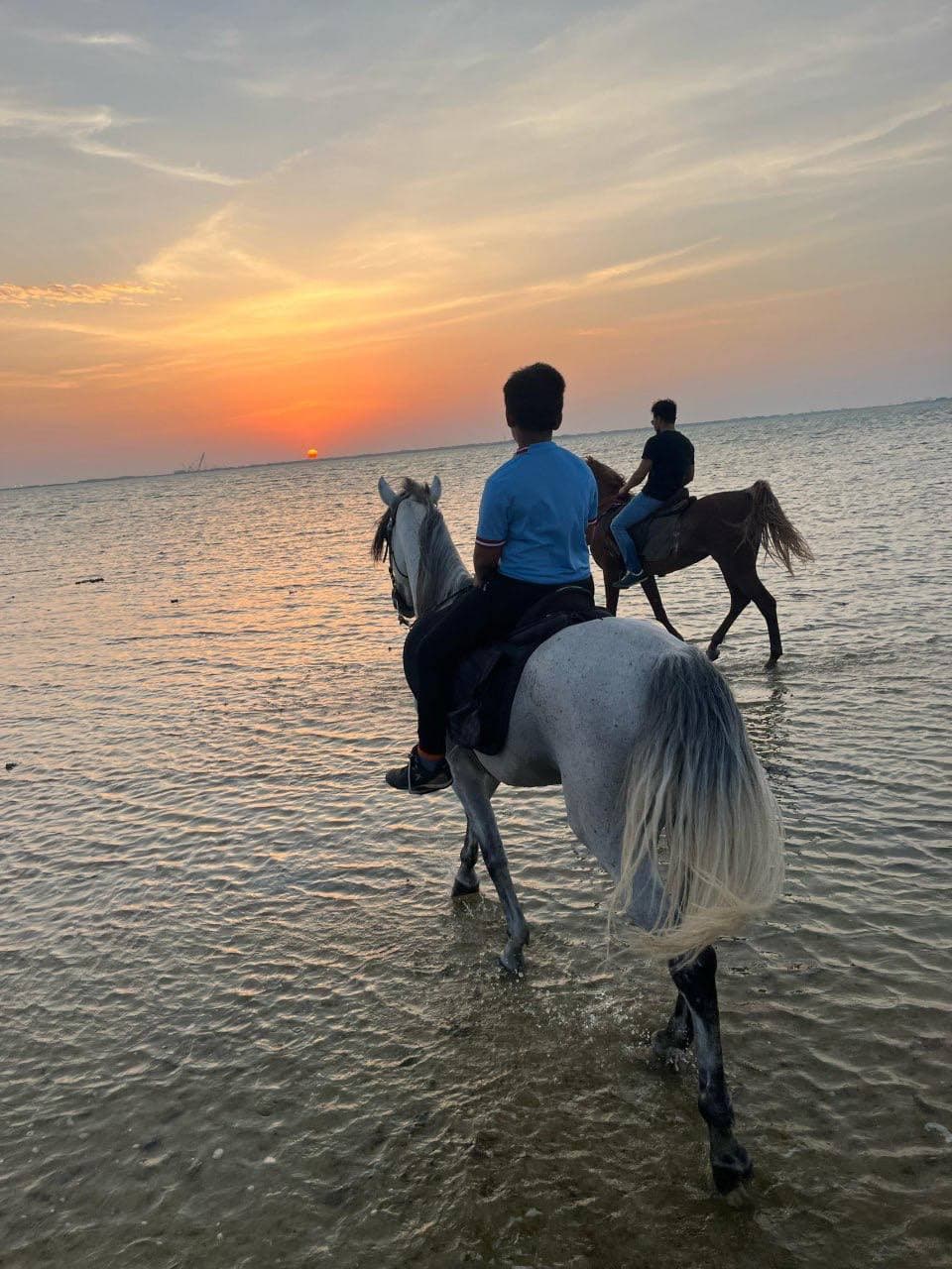 جدة: تجربة ركوب الخيل على الشاطئ