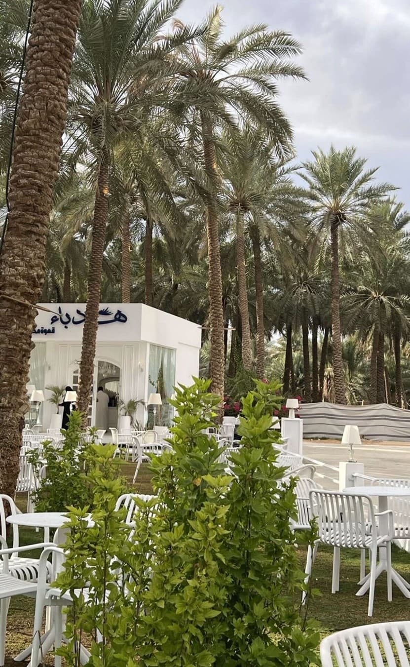 بريدة وعنيزة: جادة عسيب ومتحف العقيلات 🌴