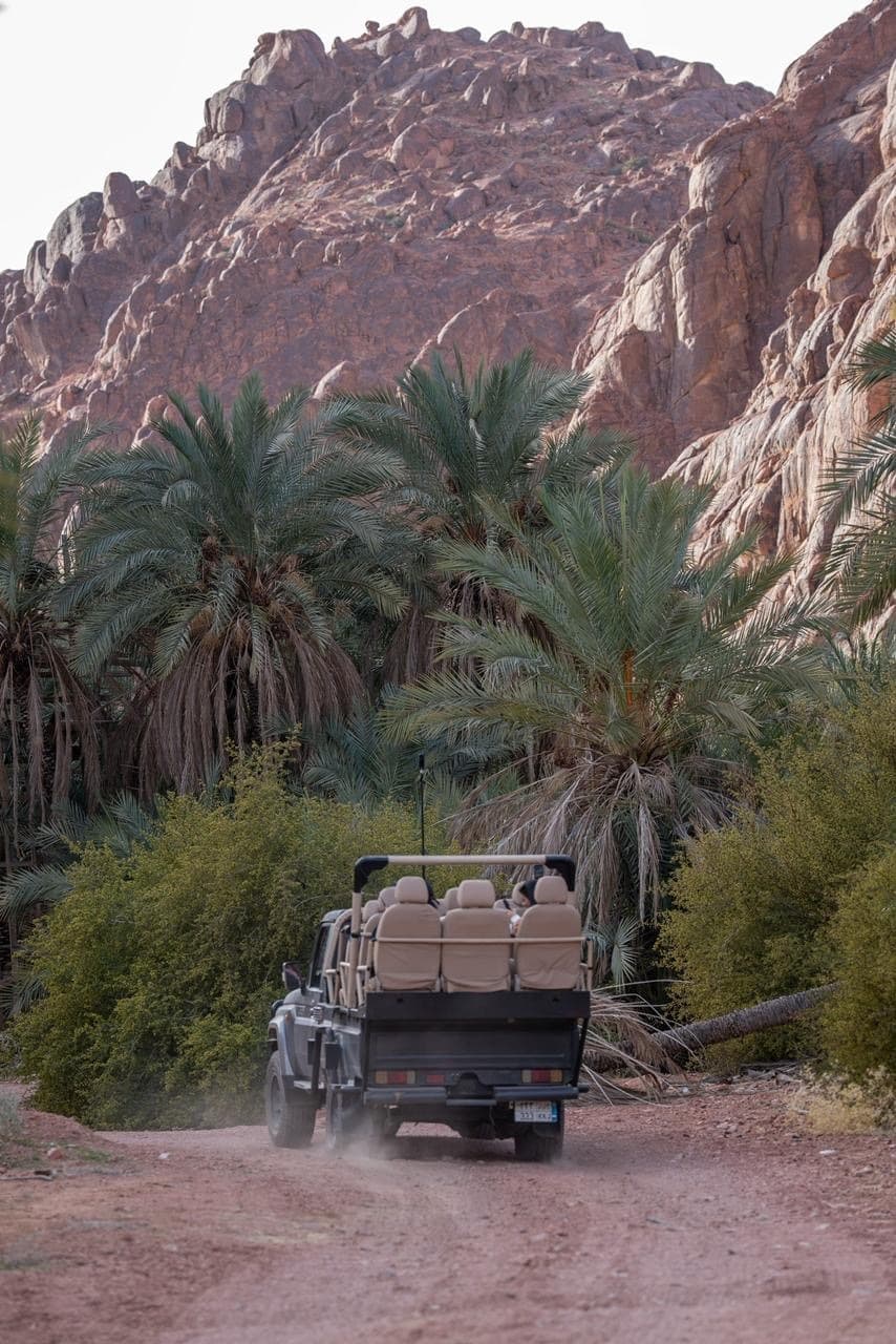 تجربة السفاري بين جبال حائل 