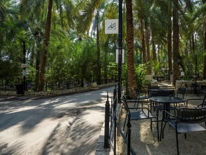 بريدة وعنيزة: جادة عسيب ومتحف العقيلات 🌴